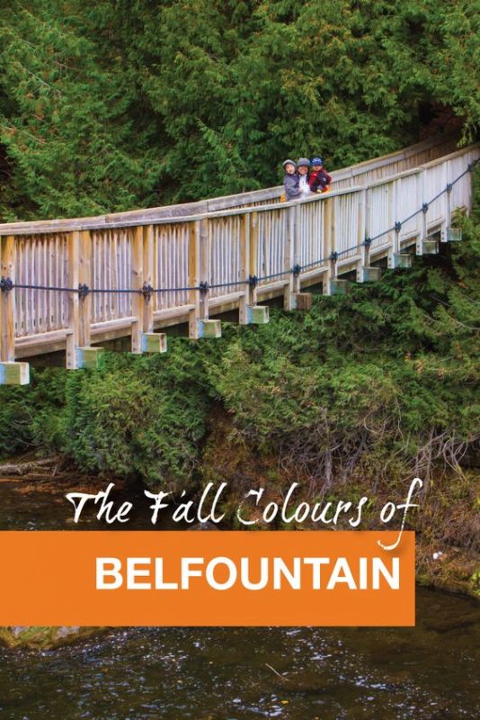 Experience the Fall Colours of Belfountain Ontario Adventure Family