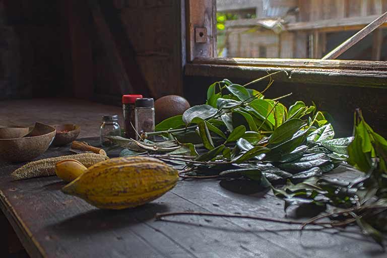 Family Travel to Grenada is incredible. Explore what makes the Spice Island so unforgettable