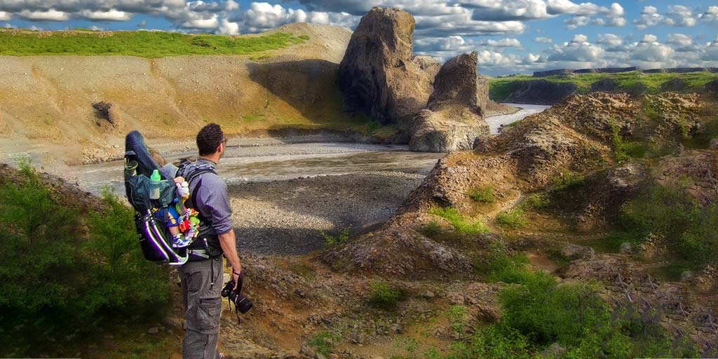 special needs backpack carrier