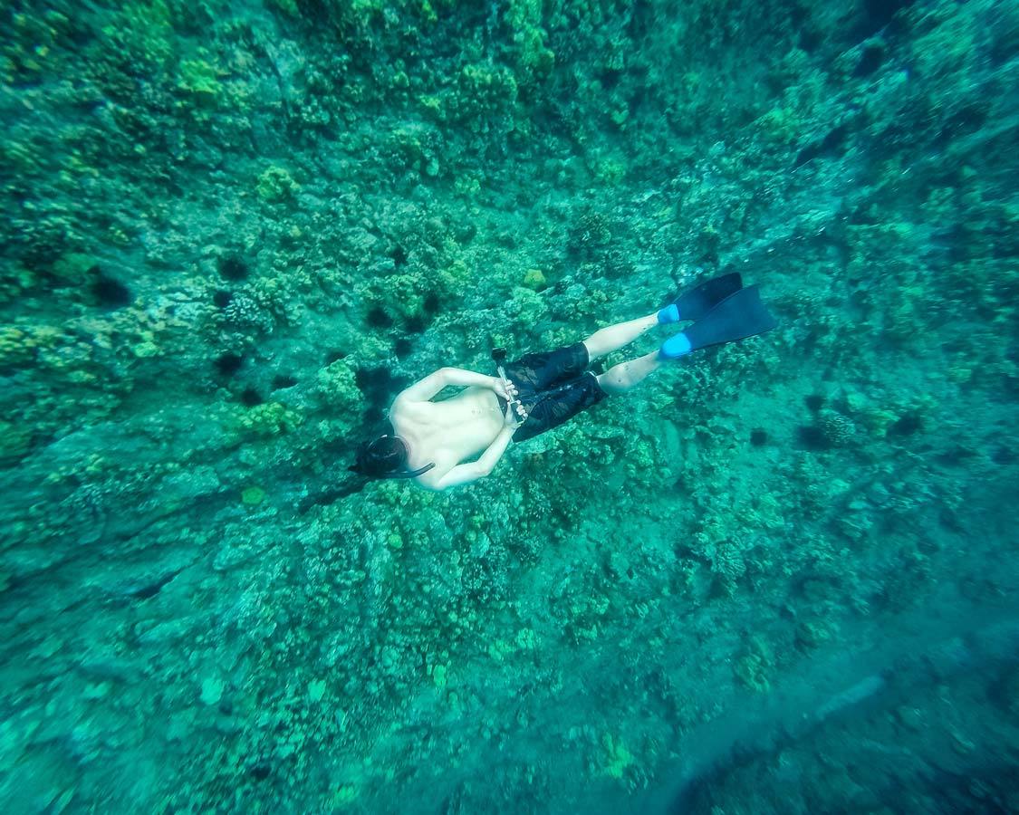 Molokini Snorkeling What Is The Best Molokini Snorkel Tour For