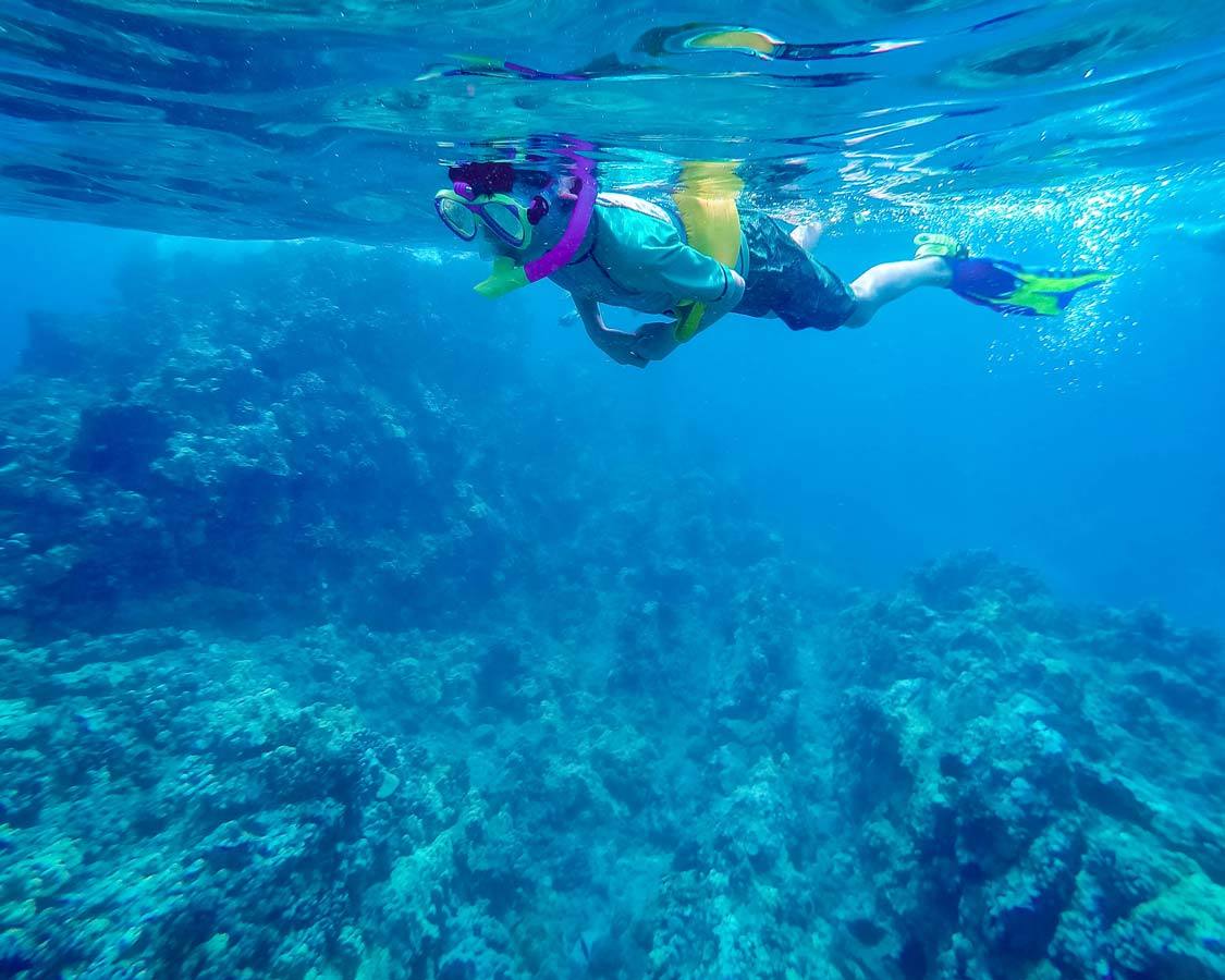molokini snorkel tours from kaanapali