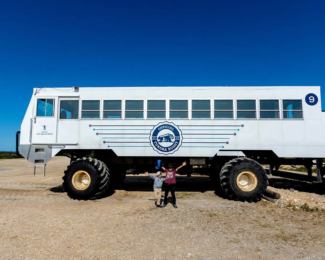 experiencing-wildlife-on-a-churchill-tundra-buggy-adventure-adventure