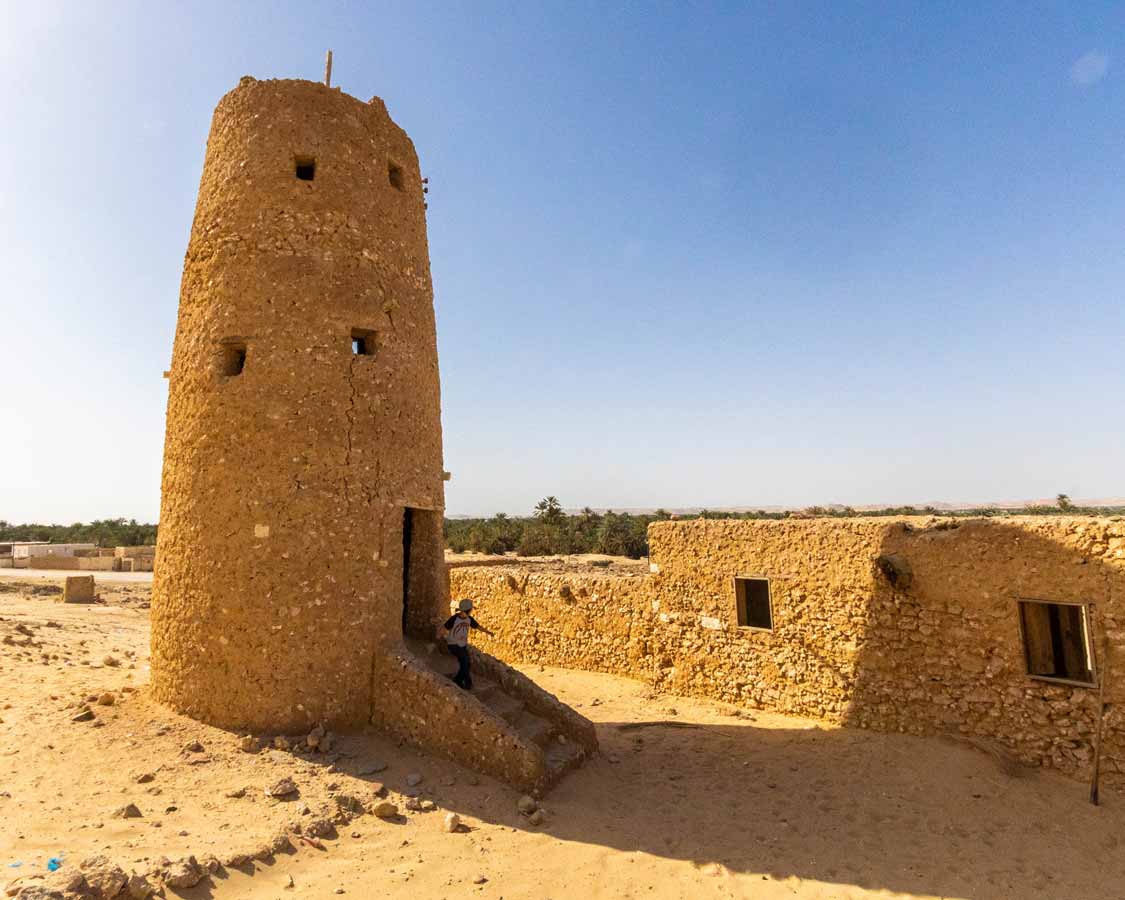 The Siwa Oasis in Egypt: Everything You Need To Know Before You Go