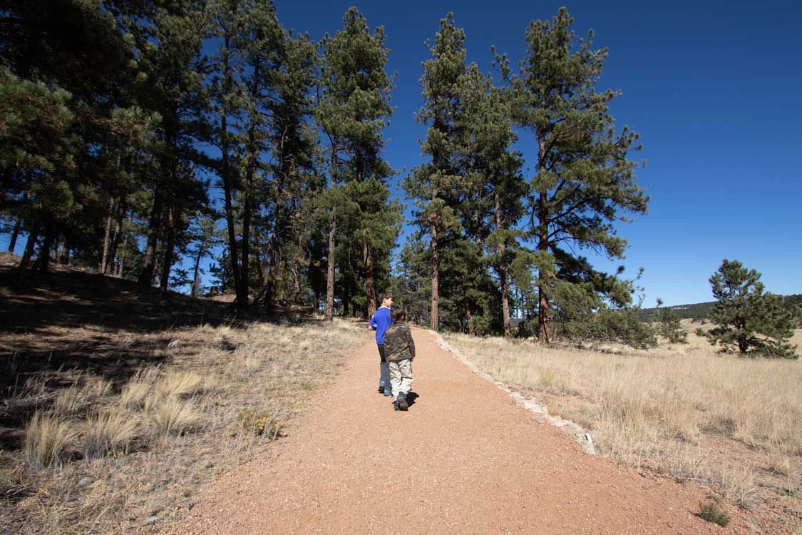 Hikes in Florissant Fossil Beds National Monument